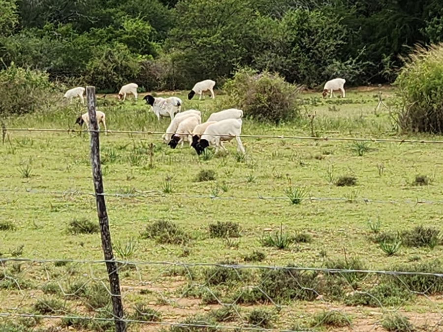 Commercial Property for Sale in Somerset East Rural Eastern Cape